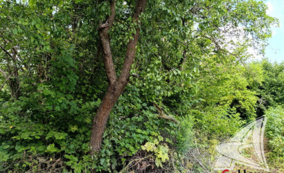 Купить дачу, Брест, Тельминский с/с, 4.4 соток. Фото 23