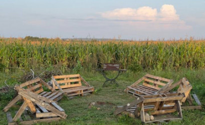 Купить дом в деревне, Малое Запрудье, Советская 19, 32 соток. Фото 16