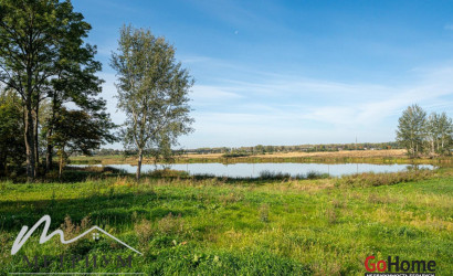 Купить дом, Великий Двор, Демидовича ул., 25 соток. Фото 6