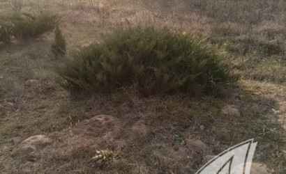 Купить дом в деревне, Горошковка 1, Каменюкский с/с, 25 соток. Фото 38