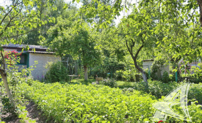 Купить дачу, Брест, Клейниковский с/с, 4.1 соток. Фото 9