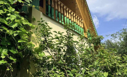 Купить дом в деревне, Гаевка, Виноградная, 98, 10 соток. Фото 12