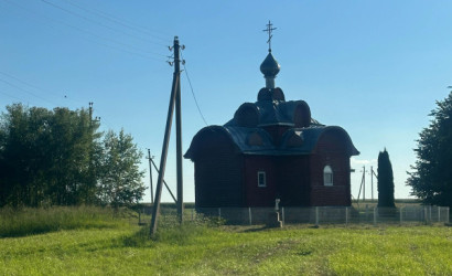 Купить дом, Ветка, Центральная ул., 25 соток. Фото 8
