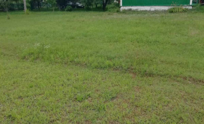 Купить дом, Борки, ул.Центральная д.31, 25 соток. Фото 10