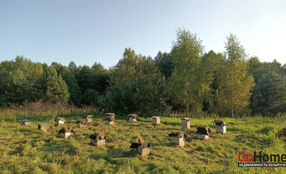 Купить участок, Селезни, Озёрная, 14, 15 соток. Фото 3