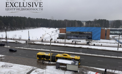 Купить 1-комнатную квартиру, Копище, Авиационная ул., 3. Фото 30