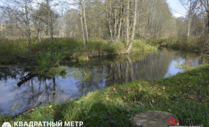 Купить дом, Дуброва, Заречная ул., 25 соток. Фото 2