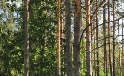 Купить дом, Артемово, Центральная, 25 соток. Фото 17