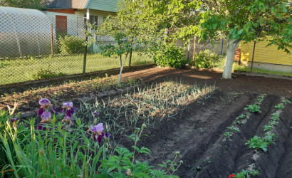 Купить дачу, Каролино, 29, СТ Калинка, 5.1 соток. Фото 5