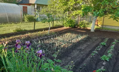  1-этаж.(70 м2), Каролино(Центральная)