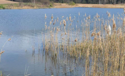 Купить дом в деревне, Факел-Третий век, 9.78 соток. Фото 33