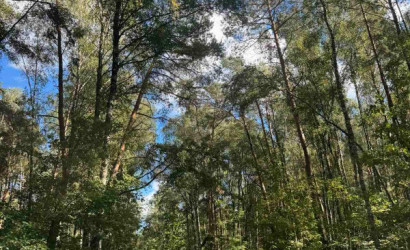 Купить участок, Брест, ул. Рябцева, д. , 8 соток. Фото 3