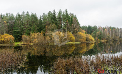 Купить дом в деревне, Зеленый дол, 4.37 соток. Фото 31