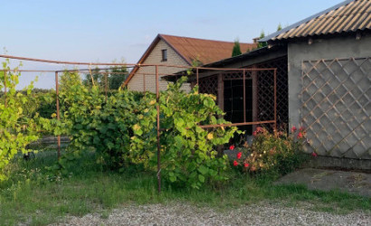 Снять на сутки дом, Тельмы-2, Полевая, 2. Фото 15