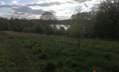 Купить участок, Большие Летцы, Советская 1В, 50 соток. Фото 1