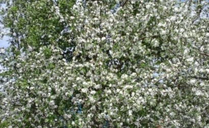 Купить дом в деревне, Сельский строитель-2, 5 соток. Фото 27