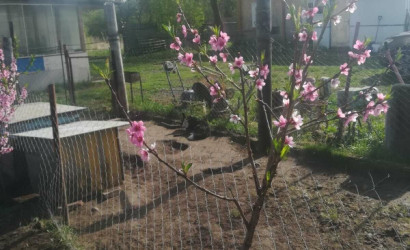 Купить дом, Филоновцы, 25 соток. Фото 1