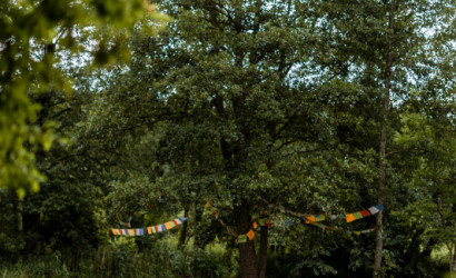 Снять на сутки агроусадьбу, Кадыш, 16. Фото 8