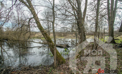 Купить дом, Пытань, 38 соток. Фото 17