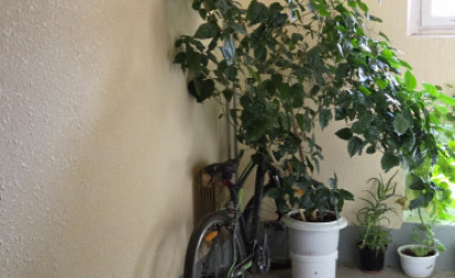 Снять 1-комнатную квартиру, Минск, Чичурина 6(Фрунзенский район). Фото 14