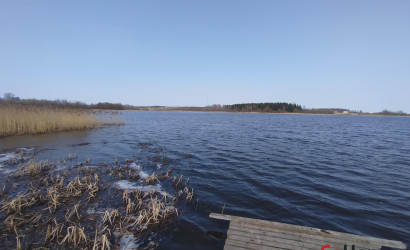 Купить дом, Дайнова, 22.3 соток. Фото 4