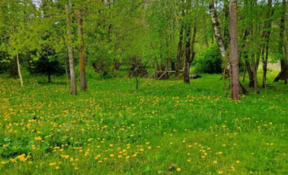 Купить дом, Марковщина, Луговая ул., 30, 14.93 соток. Фото 32