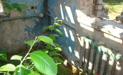  Курково(Восточная, 36)