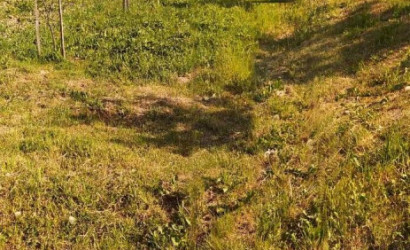 Купить участок, Колядичи, Лазурная ул., 30.51 соток. Фото 4