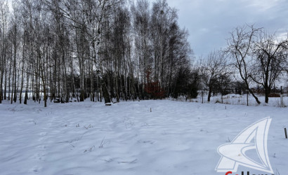 Купить участок, Заберезье, Чернинский с/с, 25 соток. Фото 10