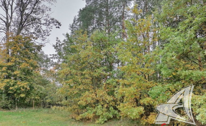 Купить дом, Франополь, Радваничский с/с, 18 соток. Фото 24