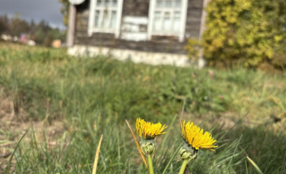 Купить дом в деревне, Кучкуны, Заречная 6, 22 соток. Фото 4