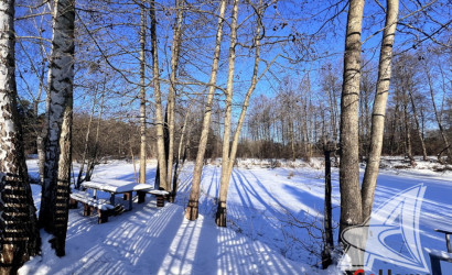 Купить дом, Гули, Мухавецкий с/с, 24.29 соток. Фото 5