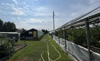  2-этаж.(113.7 м2), Брест(Городская, д.)