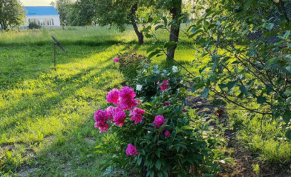 Купить дом, Старый Свержень, Зелёная, 4, 14.25 соток. Фото 3