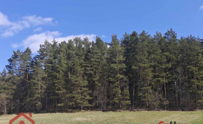 Купить участок, Вяча, Лесная, 20.07 соток. Фото 7