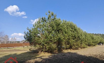 Купить участок, Мочаны, Заречная, 33Б, 11.94 соток. Фото 26