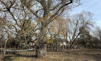 Купить дом, Теребунь, Клейниковский с/с, 12.17 соток. Фото 8