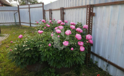 Купить дом в деревне, Шарик, 6 соток. Фото 18