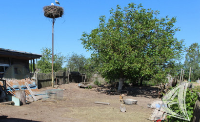 Купить дом, Грушевка, Видомлянский с/с, 24.87 соток. Фото 28