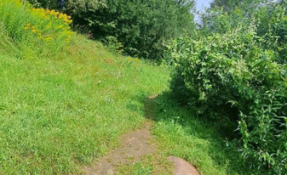 Купить дачу, Витебск, 1-я Гладкая, 7.56 соток. Фото 8