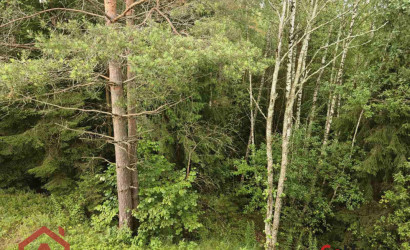 Купить участок, Мончаки, Лесная, 15 соток. Фото 9