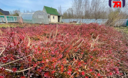 Купить участок, Новые земли, 7.52 соток. Фото 14