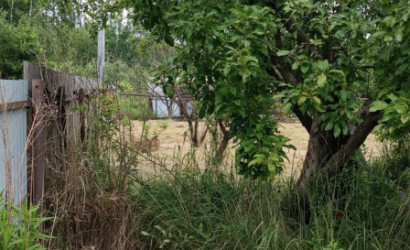 Купить участок, Зябровка, 113, садоводческое товарищество Бытрадиотехника, 7 соток. Фото 17