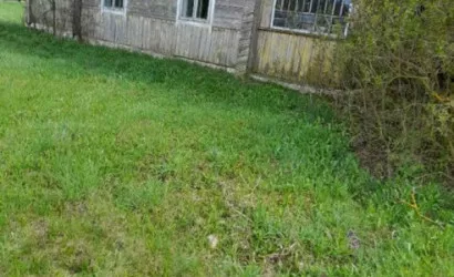  Швакшты(Нет)