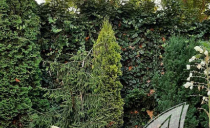 Купить дом, Брест, Граевка, 7.35 соток. Фото 8