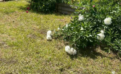 Купить дом в деревне, Пралеска-плюс, 5 соток. Фото 8