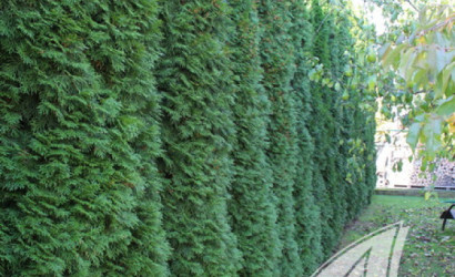 Купить дом, Жабинка, г. Жабинка, 15 соток. Фото 40