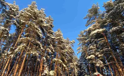  20 м2, Энергостроитель-Подсады