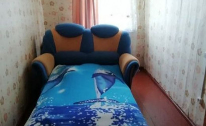 Купить дом, Борки, ул.Центральная д.31, 25 соток. Фото 7