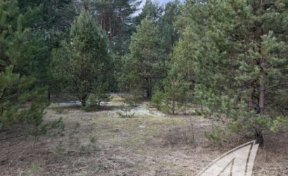 Купить участок, Дубица, Домачевский с/с, 24.9 соток. Фото 4